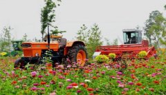 “十三五”大思路規(guī)劃， 哪些決定將影響農(nóng)業(yè)行業(yè)