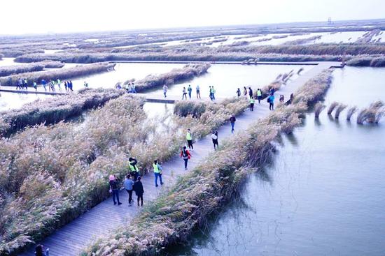 迅速崛起的國家級開發(fā)區(qū)--第十三屆全國重點(diǎn)網(wǎng)媒河北行走進(jìn)曹妃甸