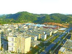 中山：加快建設東升脆肉鯇、橫欄花木省級現代農業產業園