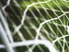 新疆出臺現(xiàn)代馬產(chǎn)業(yè)發(fā)展規(guī)劃（2019-2030年）