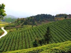 安陽召開合金新材料產(chǎn)業(yè)園規(guī)劃建設(shè)協(xié)調(diào)推進會