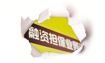 國務(wù)院關(guān)于促進融資擔(dān)保行業(yè)加快發(fā)展的意見