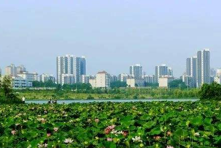 九江經開區：勇立潮頭敢為先