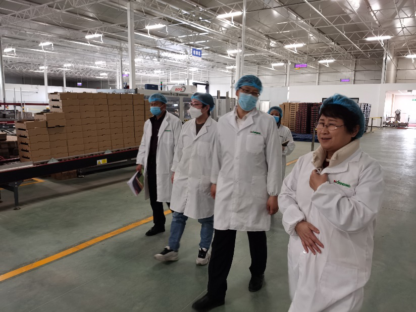 依托非耕地高效設施農業，民樂縣著力打造特色戈壁農業國家現代農業產業園