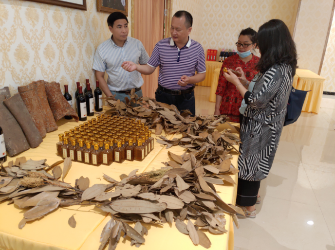 龔州大地，龍眼飄香-平南現(xiàn)代農(nóng)業(yè)正釋放科技創(chuàng)新活力