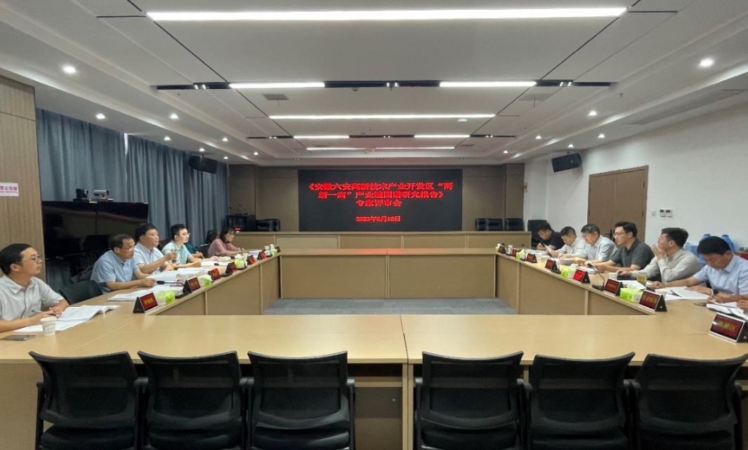 《六安高新技術(shù)產(chǎn)業(yè)開發(fā)區(qū)“兩新一高”產(chǎn)業(yè)鏈圖譜研究報告》專家評審會順利召開