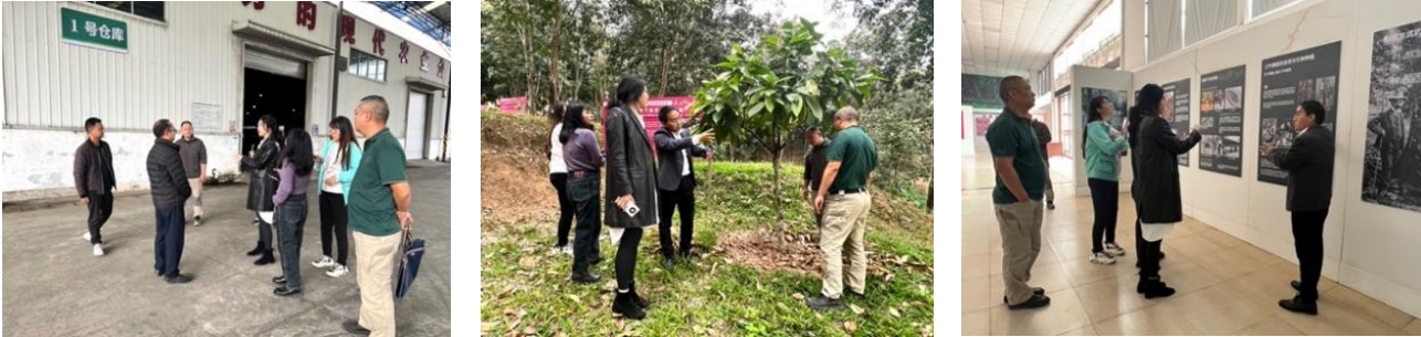 我院團隊走入“中國天然橡膠第一縣”，與勐臘共赴國家現(xiàn)代農(nóng)業(yè)產(chǎn)業(yè)園建設之路