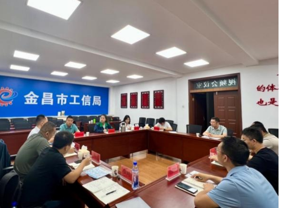 謀深謀實“十五五”規劃“三個重大”，我院邀行業專家參與座談——金昌市工